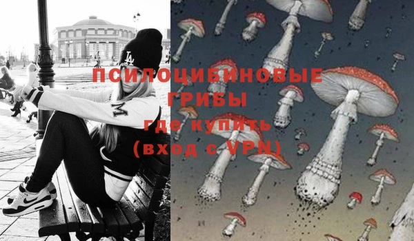 не бодяженный Верея